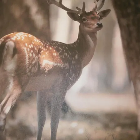 Monvillage * Saint-Maurice-sur-Moselle