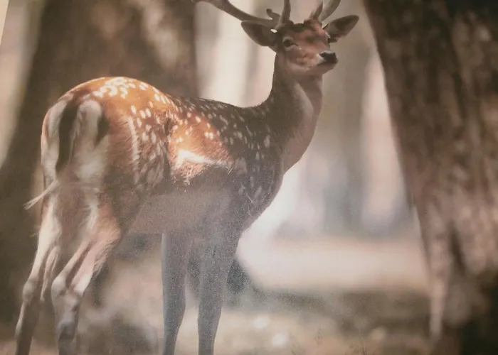 Monvillage * Saint-Maurice-sur-Moselle